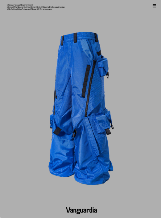 Vanguardia 25AW Blue Loose Nylon Warp Cruise Multi-Pocket Cargo Pants