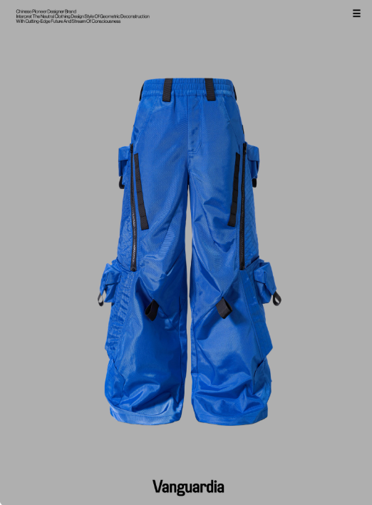 Vanguardia 25AW Blue Loose Nylon Warp Cruise Multi-Pocket Cargo Pants