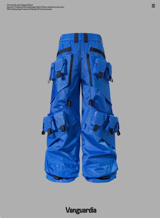 Vanguardia 25AW Blue Loose Nylon Warp Cruise Multi-Pocket Cargo Pants
